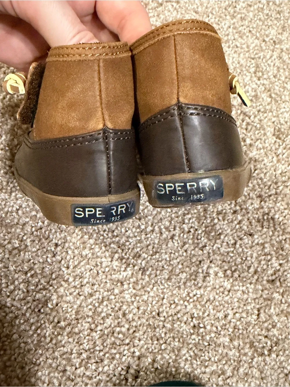 Sperry classic duck
